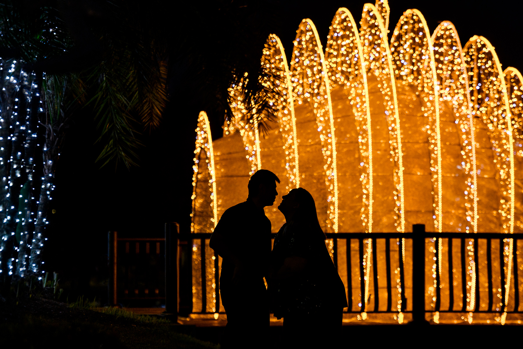 Lake Eola Christmas Session | silhouette of couple posing in front of christmas lights